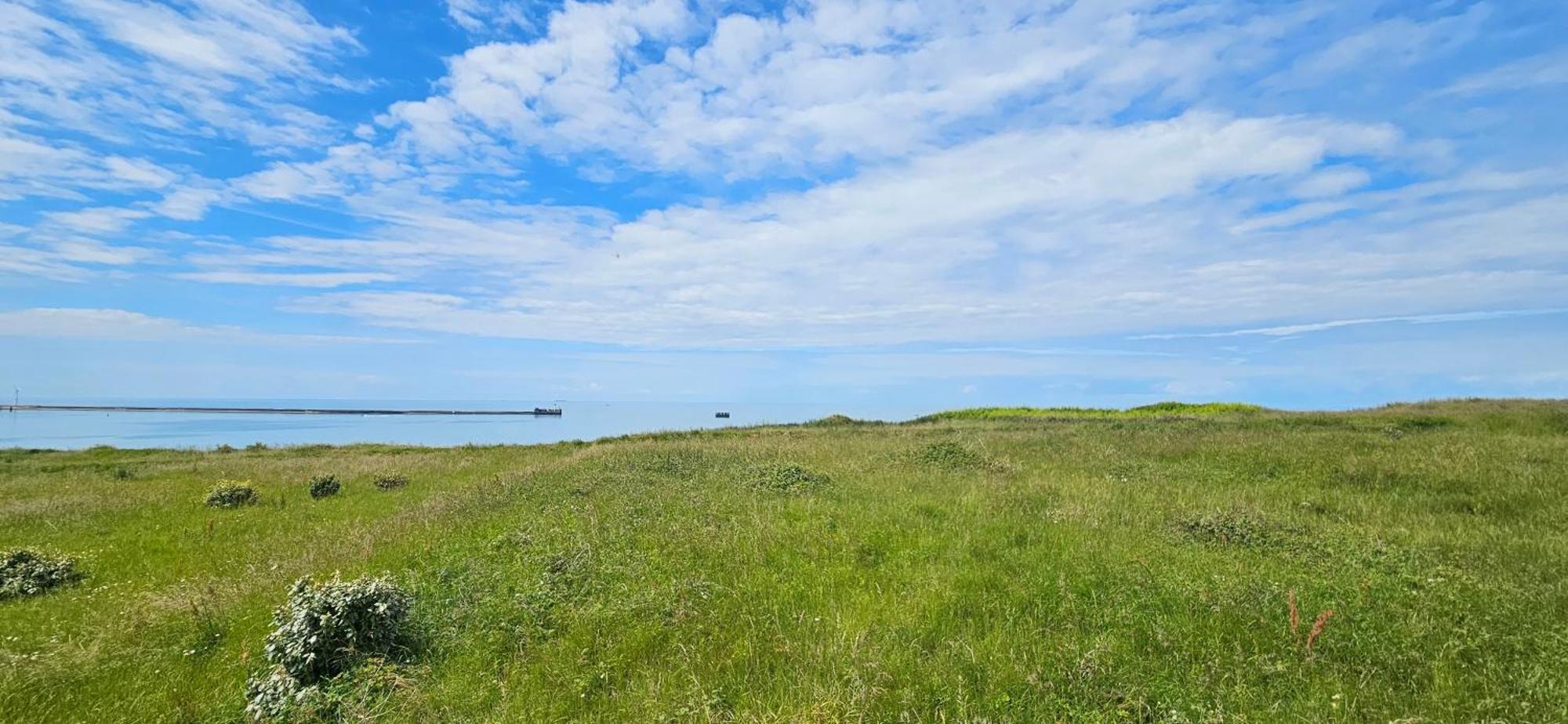 La Petite Maison Wimereux Dış mekan fotoğraf