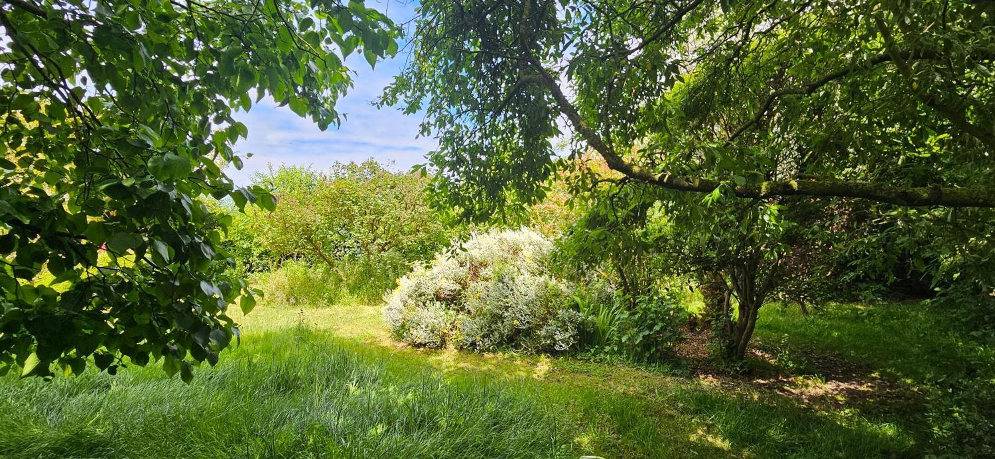 La Petite Maison Wimereux Dış mekan fotoğraf